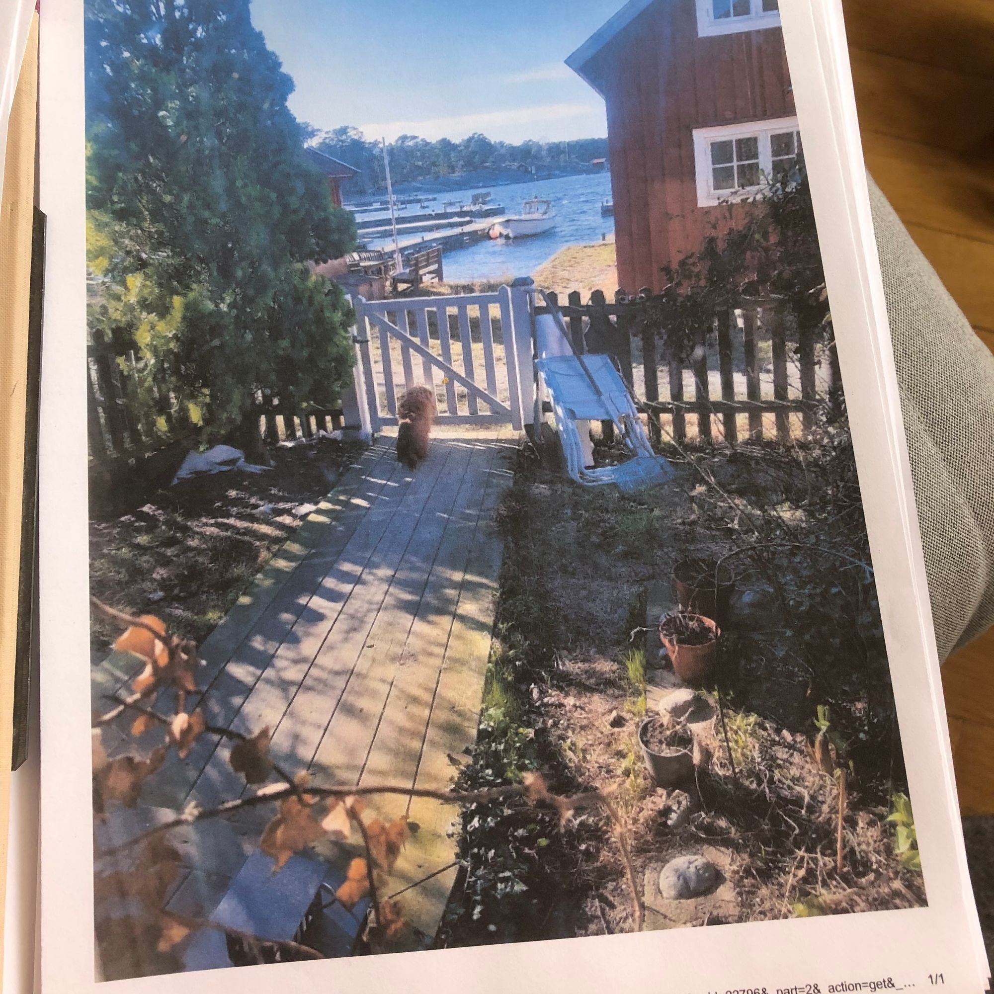 Sandhamn precis vid havet – bild 15 av 15