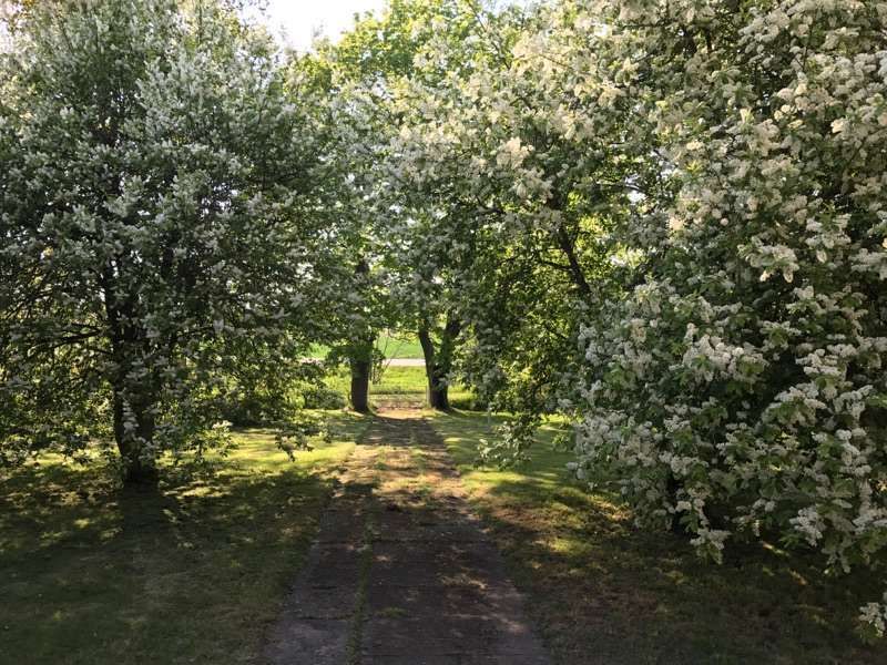 Havsnära med glasveranda, stor tomt och bastu. – bild 4 av 24