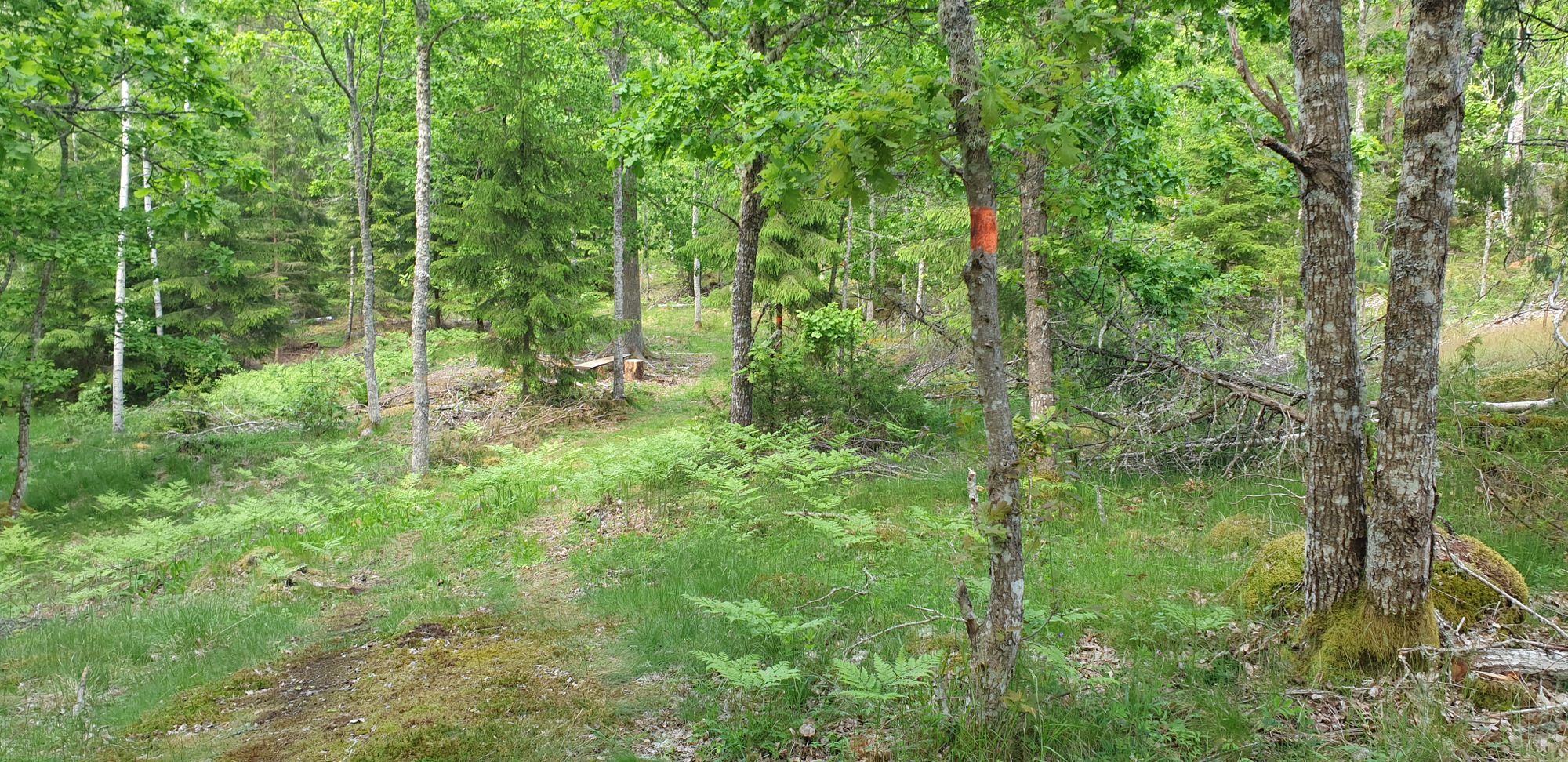 Vår lilla stuga. Hit kan hunden följa med – bild 15 av 22