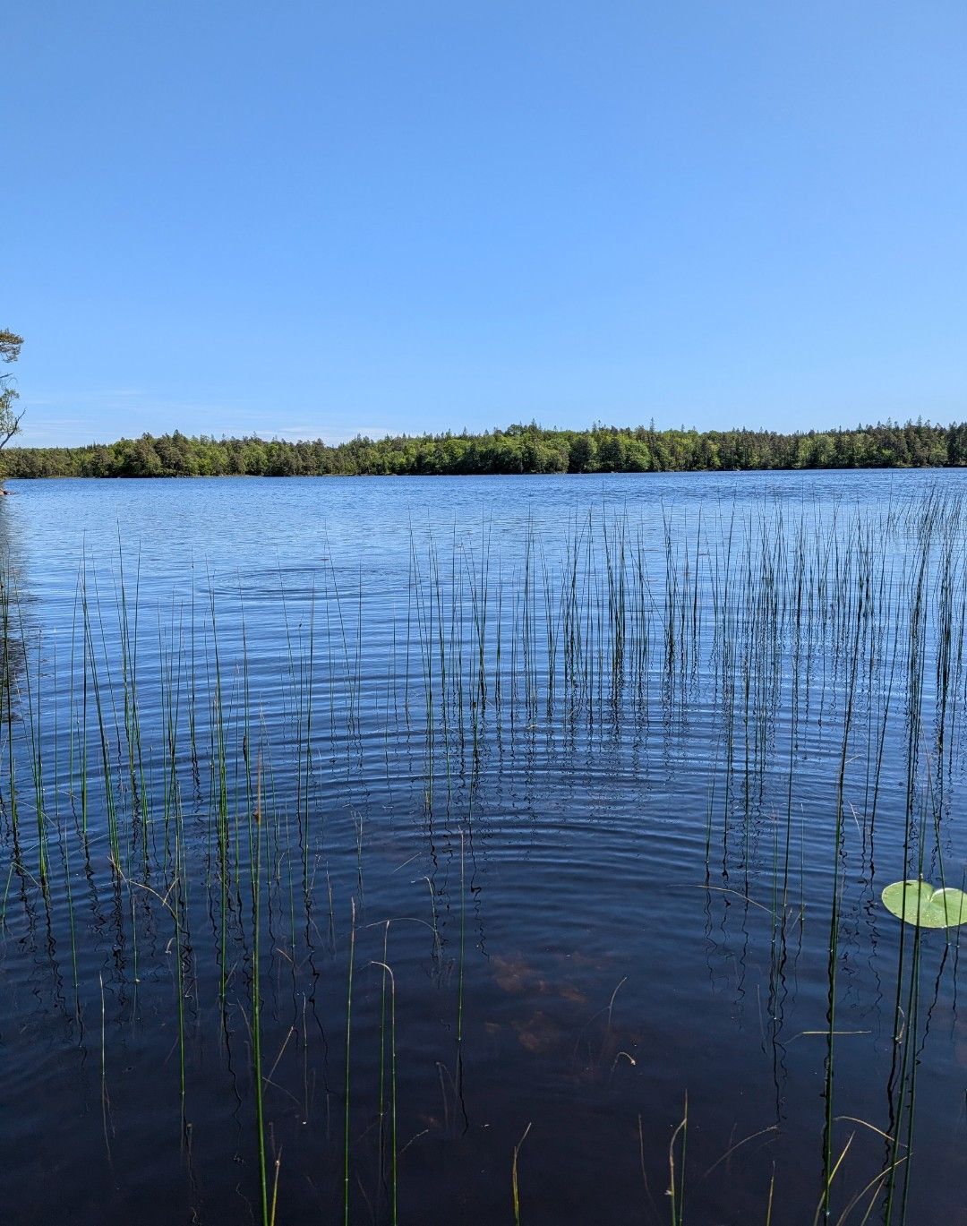 Stuga Solglimten – bild 10 av 12