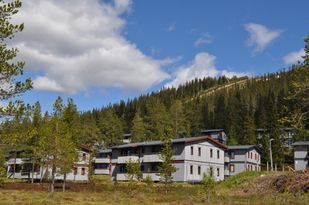 30% SALE, Nice Houses / Apartments -  Sälen