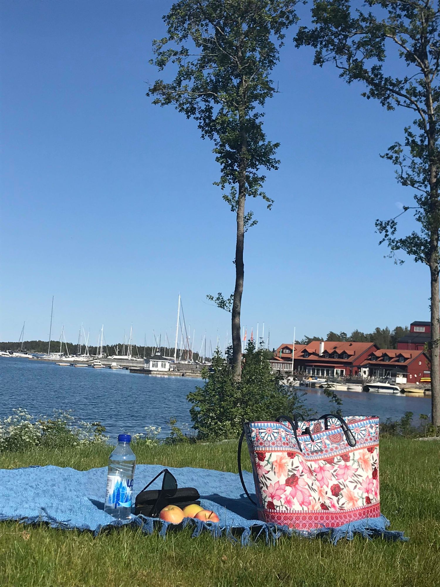 En stuga vid havet i Gryts Skärgård – bild 9 av 13