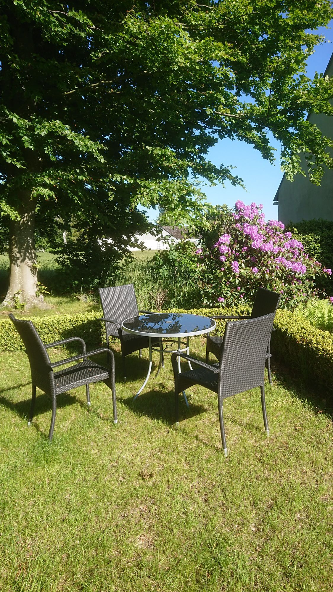 Lantlig idyll på Österlen – bild 4 av 14