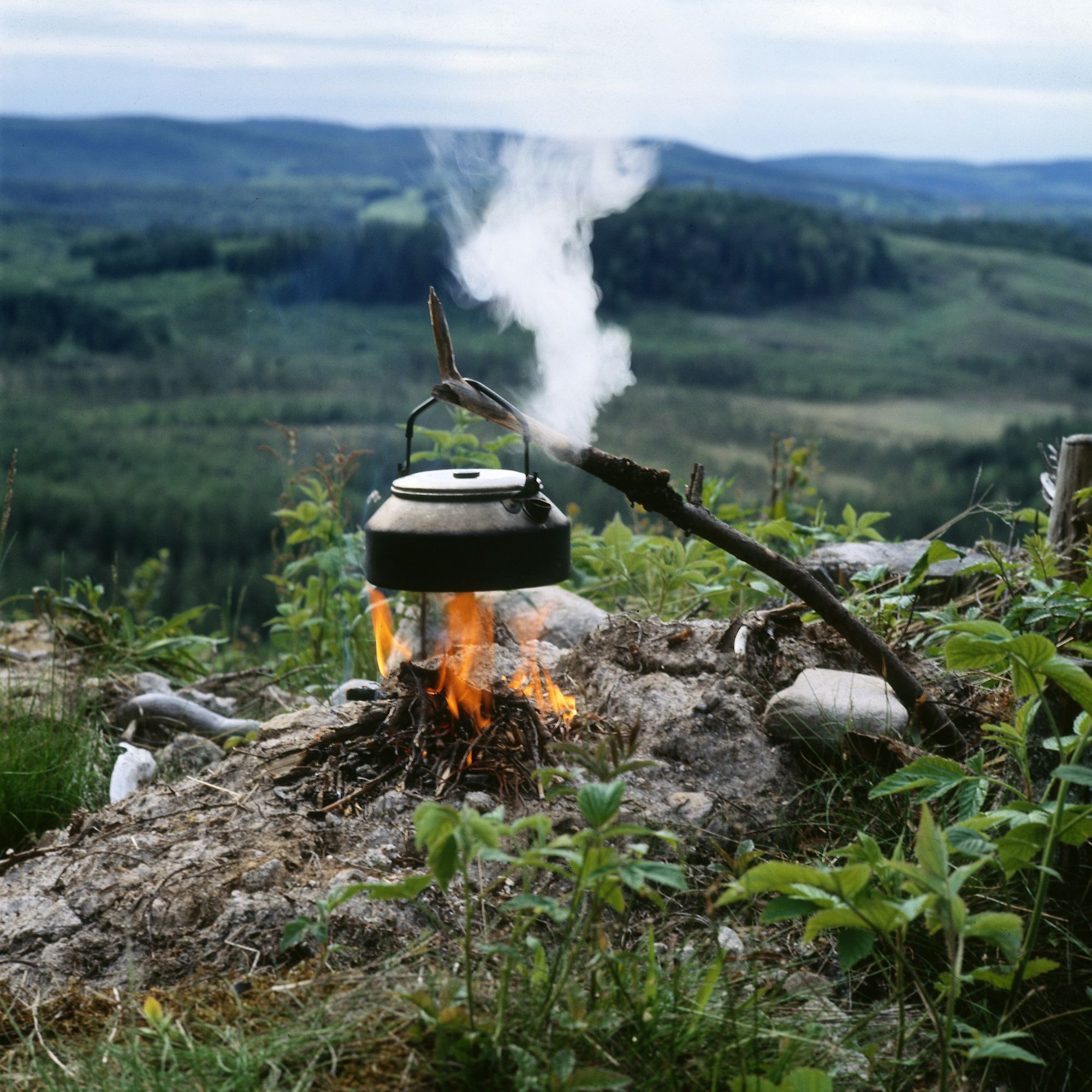 Lilla Rödjorna nära Tivedens National Park – bild 20 av 23