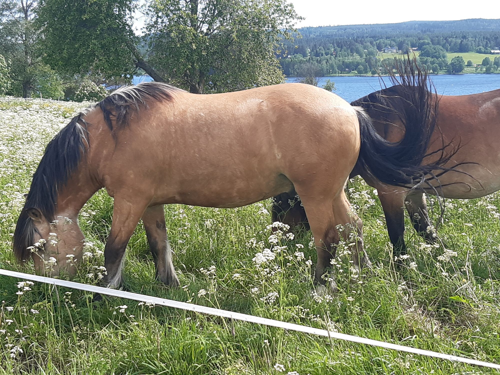 Hus med utsikt i Hoverberg! – bild 8 av 24