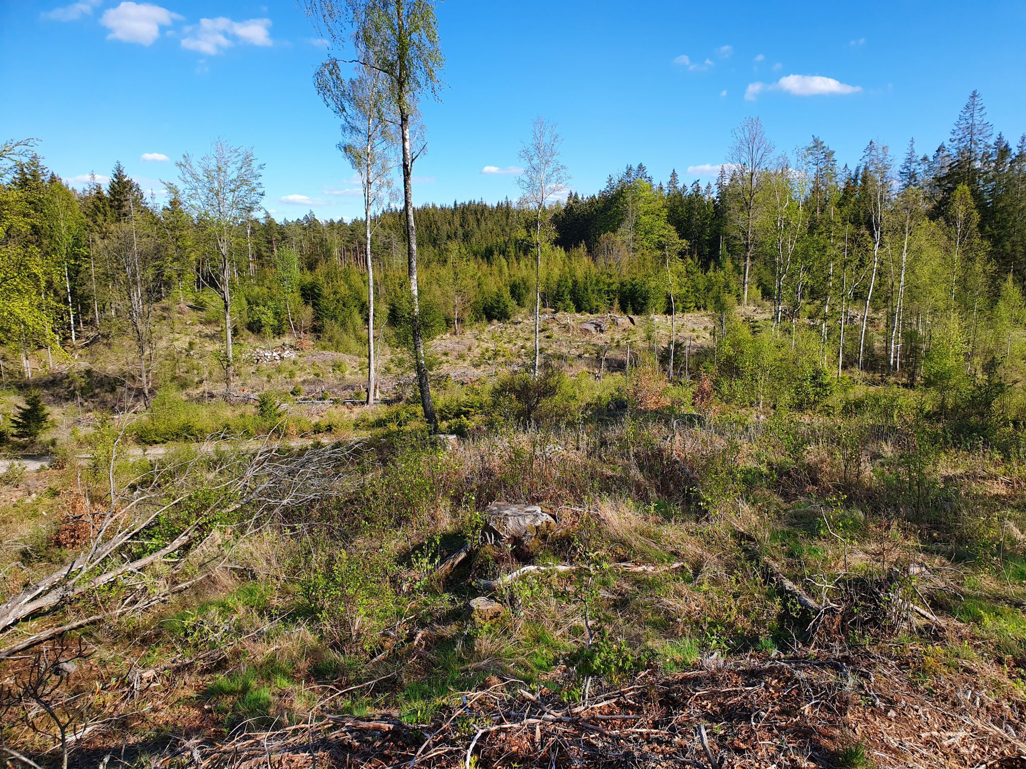 Stuga Soldattorp Byggd 2014 – bild 13 av 16