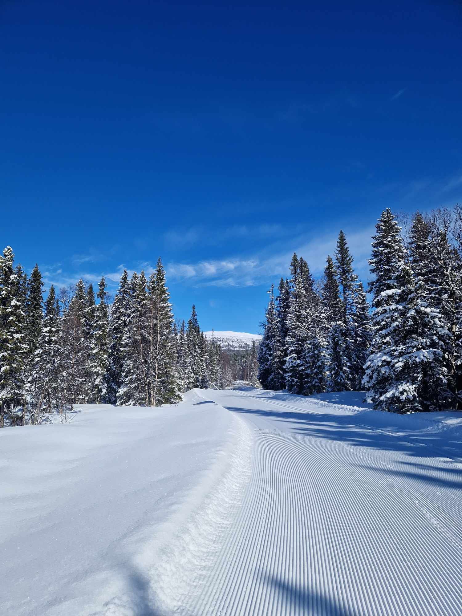 Toppläge i Edsåsdalen! – bild 20 av 23