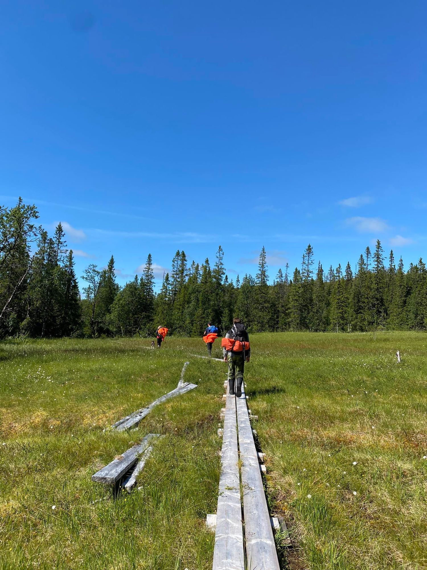 Toppläge i Edsåsdalen! – bild 3 av 23