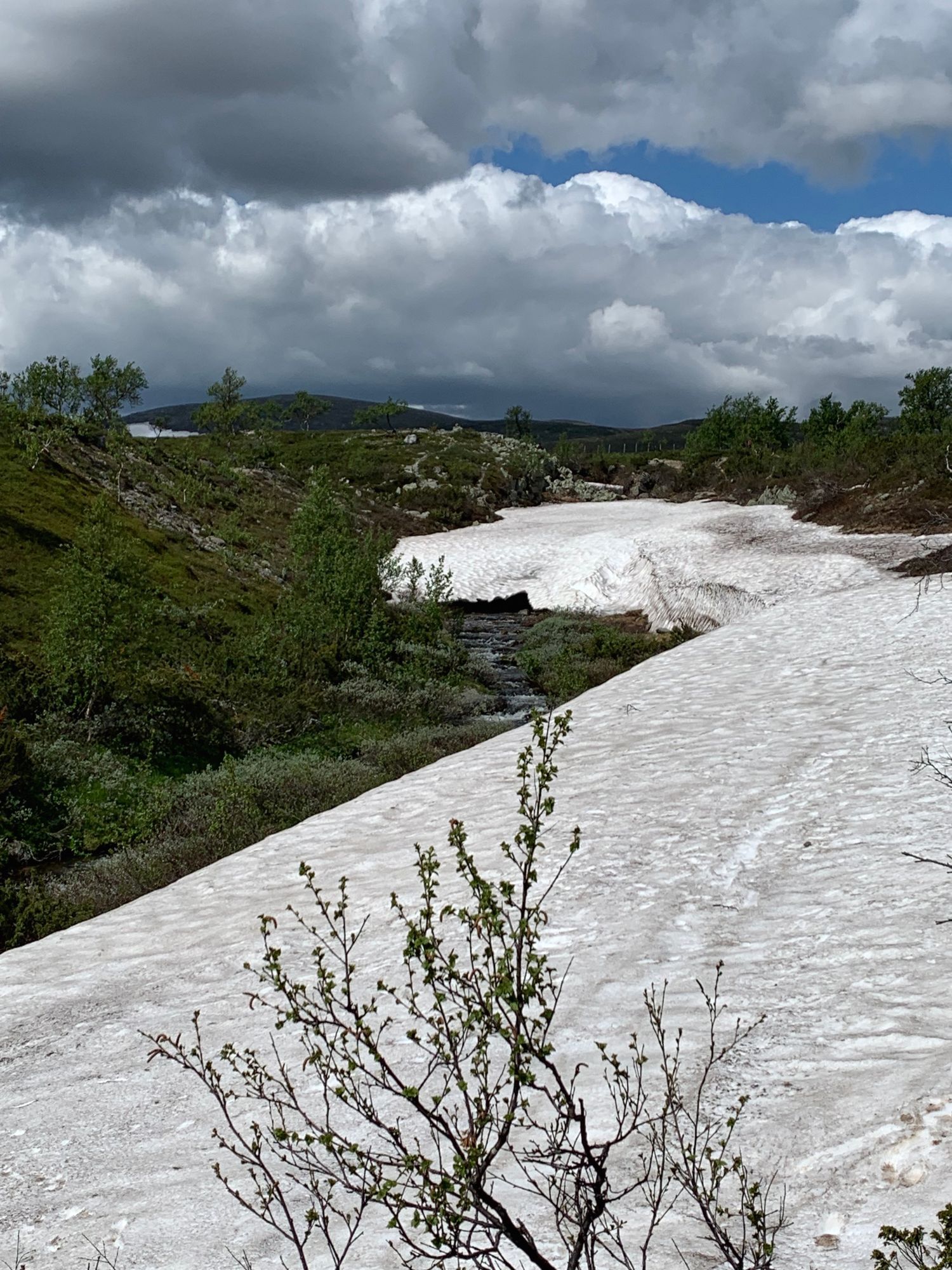Fin lägenhet nära till slalombacken Grövelfjäll – bild 17 av 20