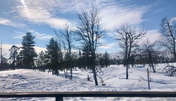 Hemfjällsbyn, Högfjället, Sälen - sista minuten!