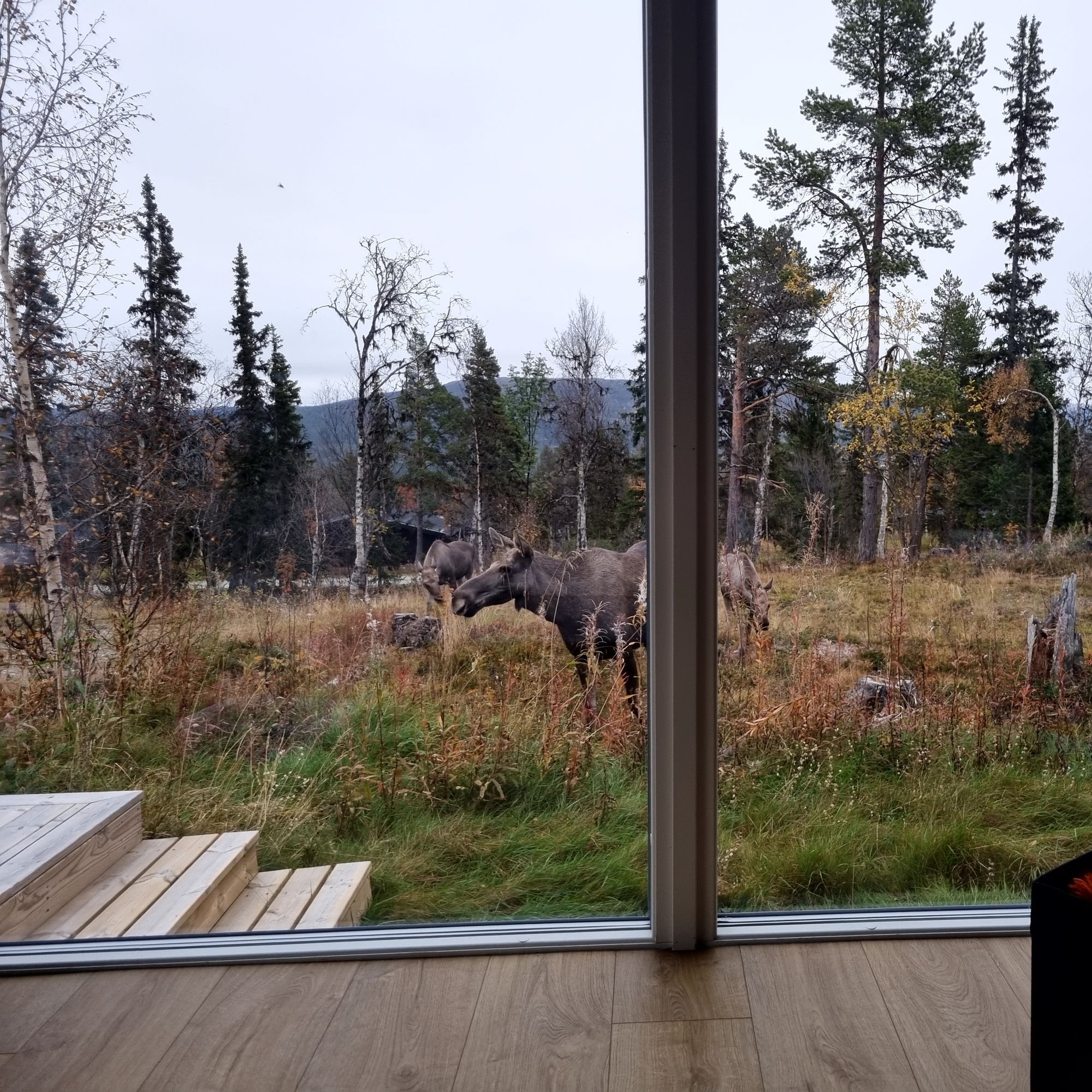 Stuga i Funäsdalen med 9 + 4 bäddar #30461 – bild 24 av 24