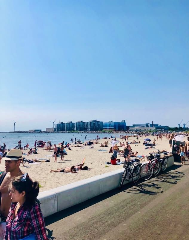 Mysig badstuga på Skrea strand i Falkenberg. – bild 11 av 13