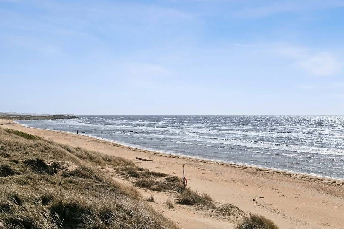 Mysig badstuga på Skrea strand i Falkenberg. – bild 12 av 13