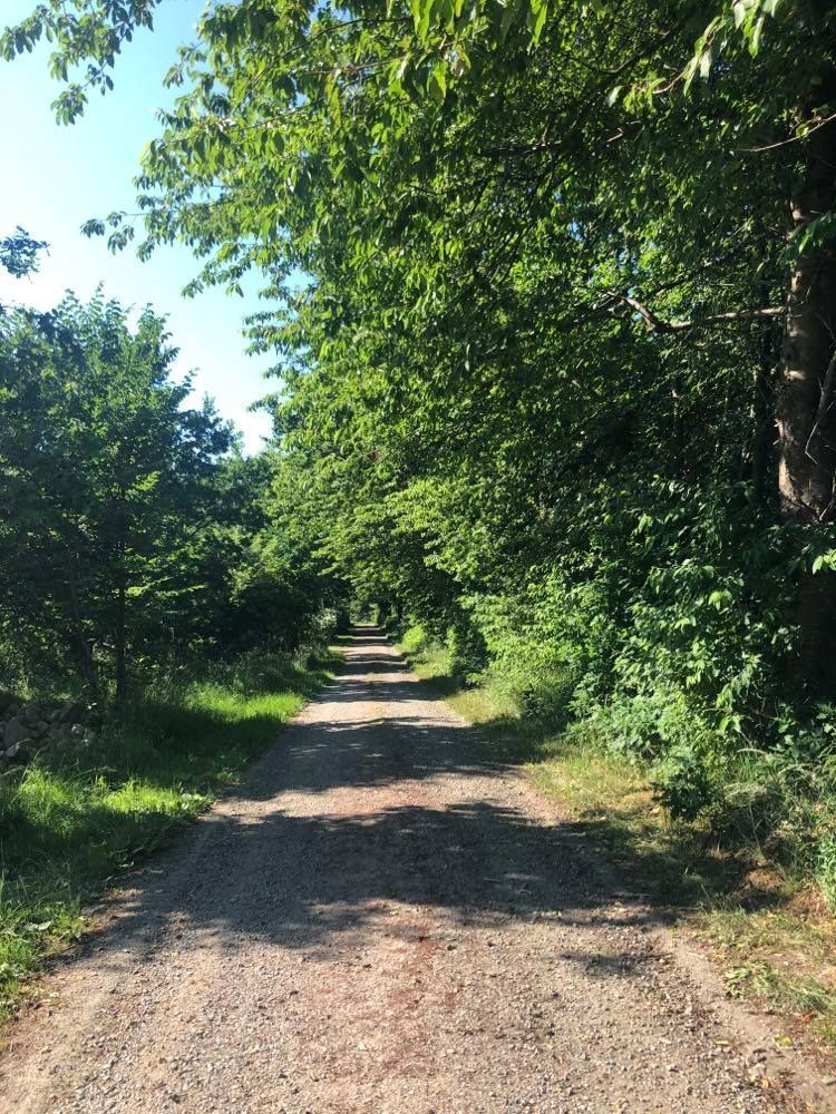 Hus på Österlen nära sjö & hav med spabad & bastu – bild 9 av 15