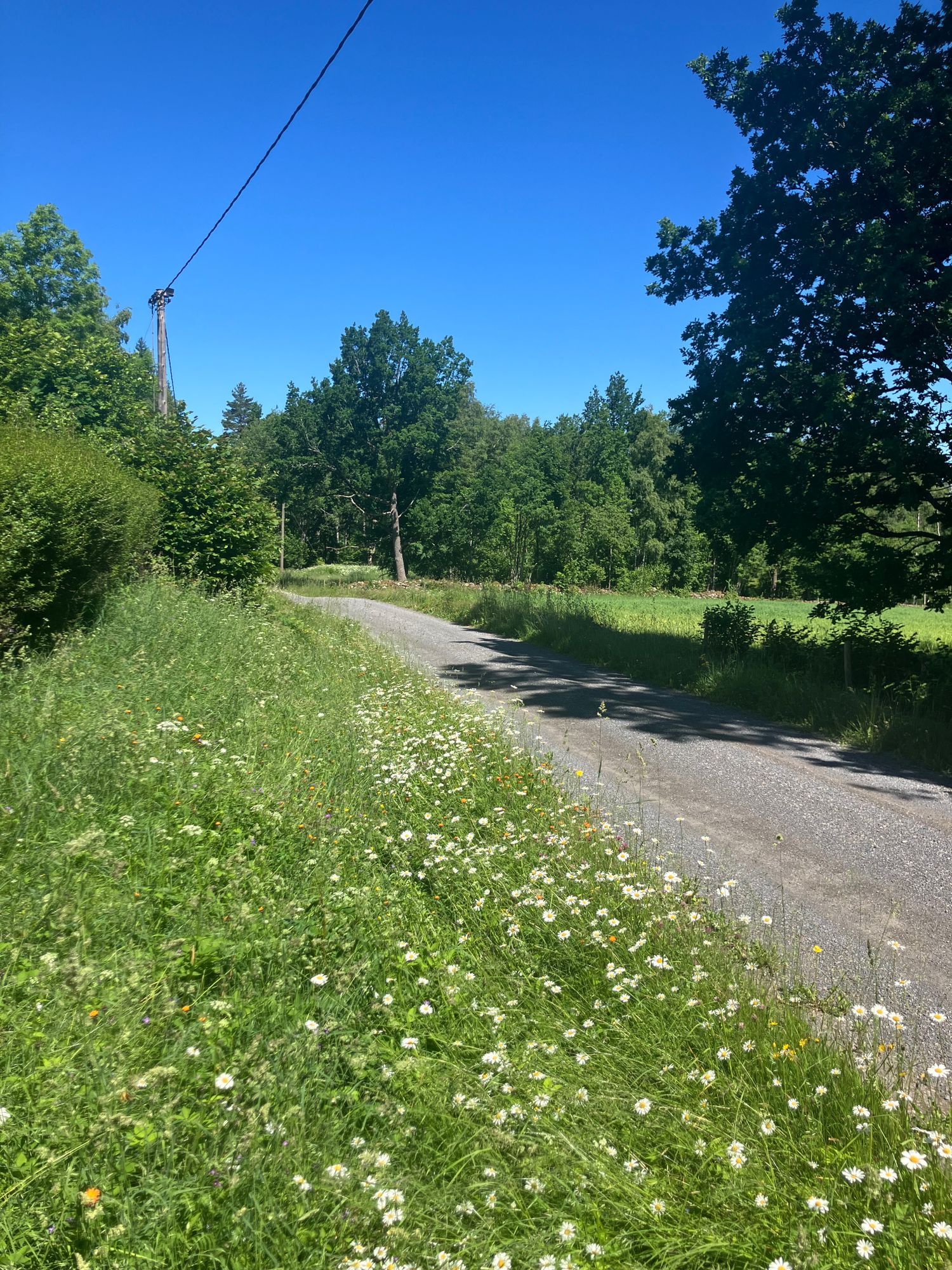 Trivsamt hus på landet - Småländska höglandet – bild 21 av 23