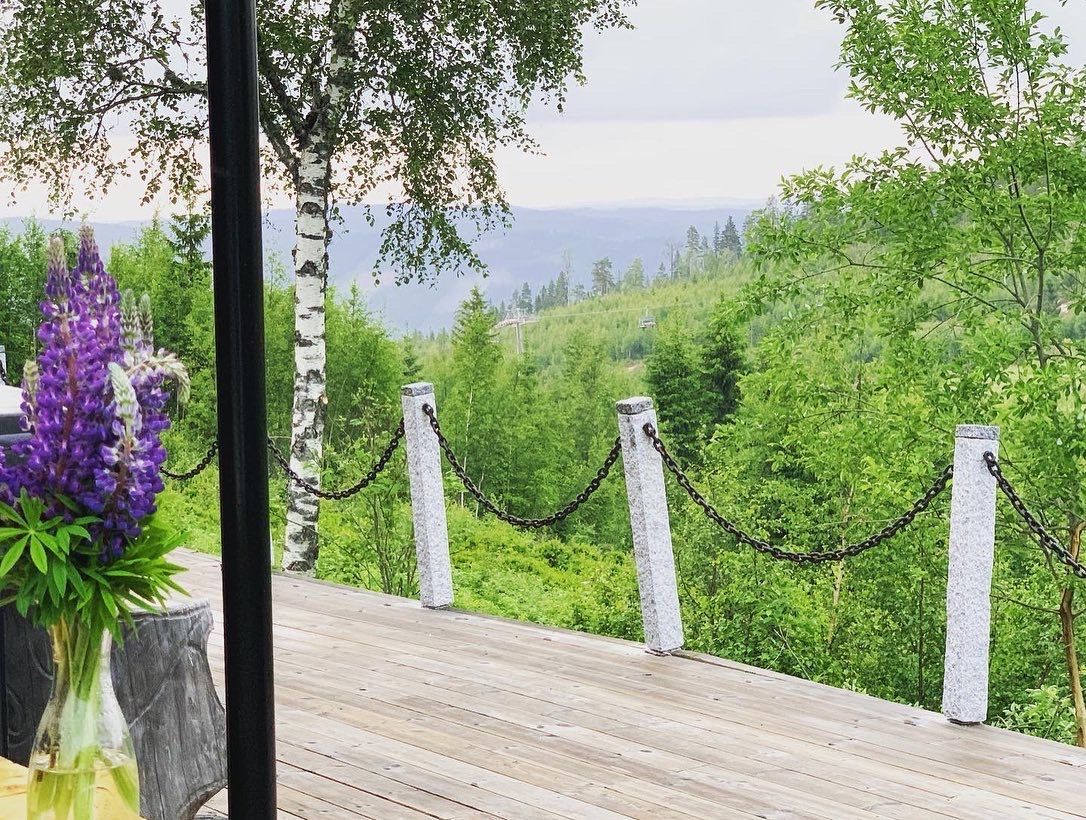 Stuga med 12 bäddar och badtunna i Branäs – bild 2 av 24