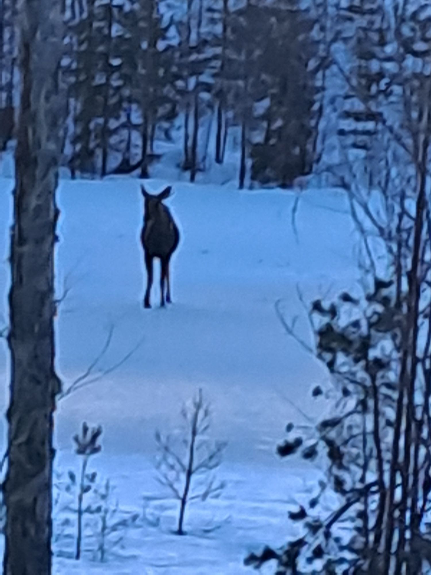Stuga vildmark för Vandringsleder, bad, fiske. – bild 16 av 20