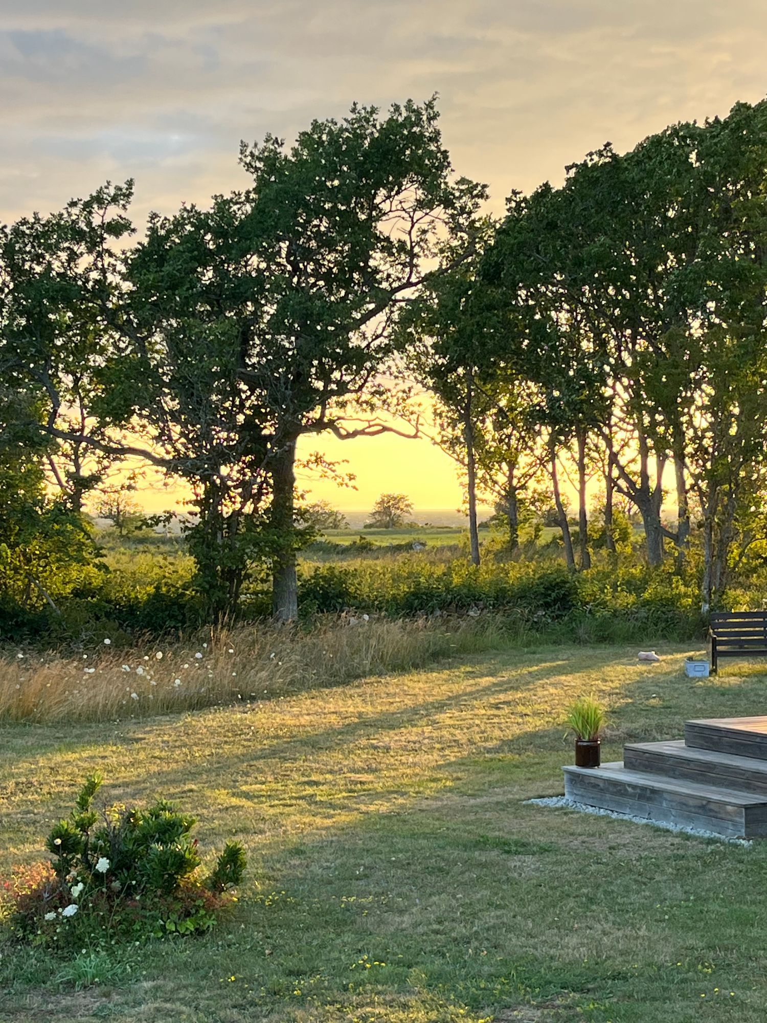 Bo vid havet på Norra Öland i sommar