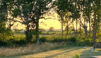 Bo vid havet på Norra Öland i sommar