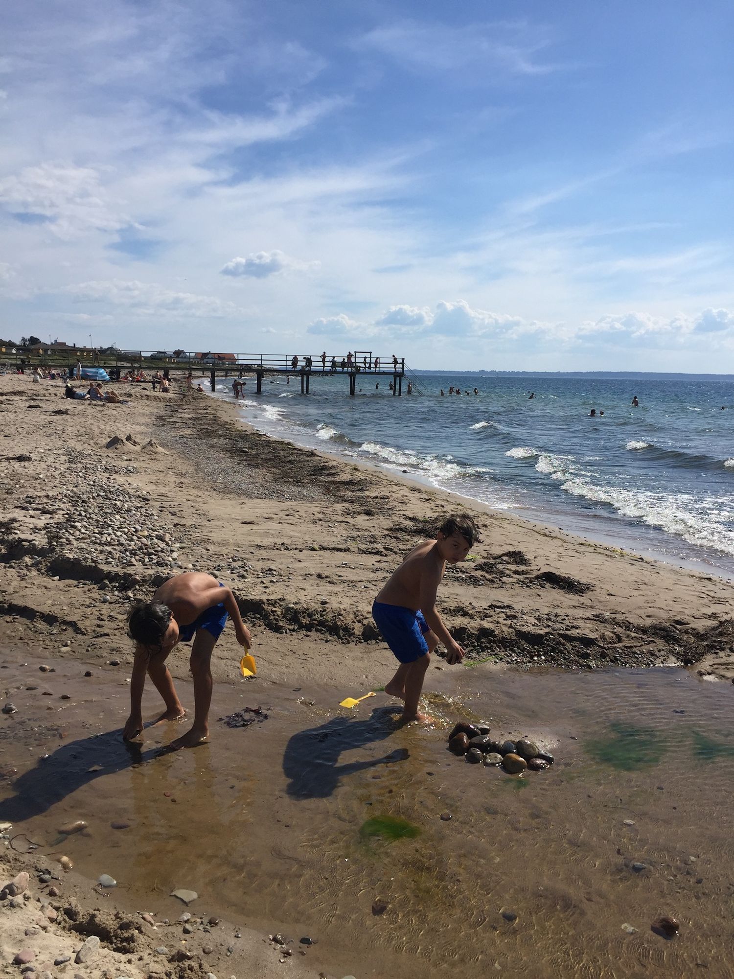 Charmigt gathus nära havet – bild 19 av 22