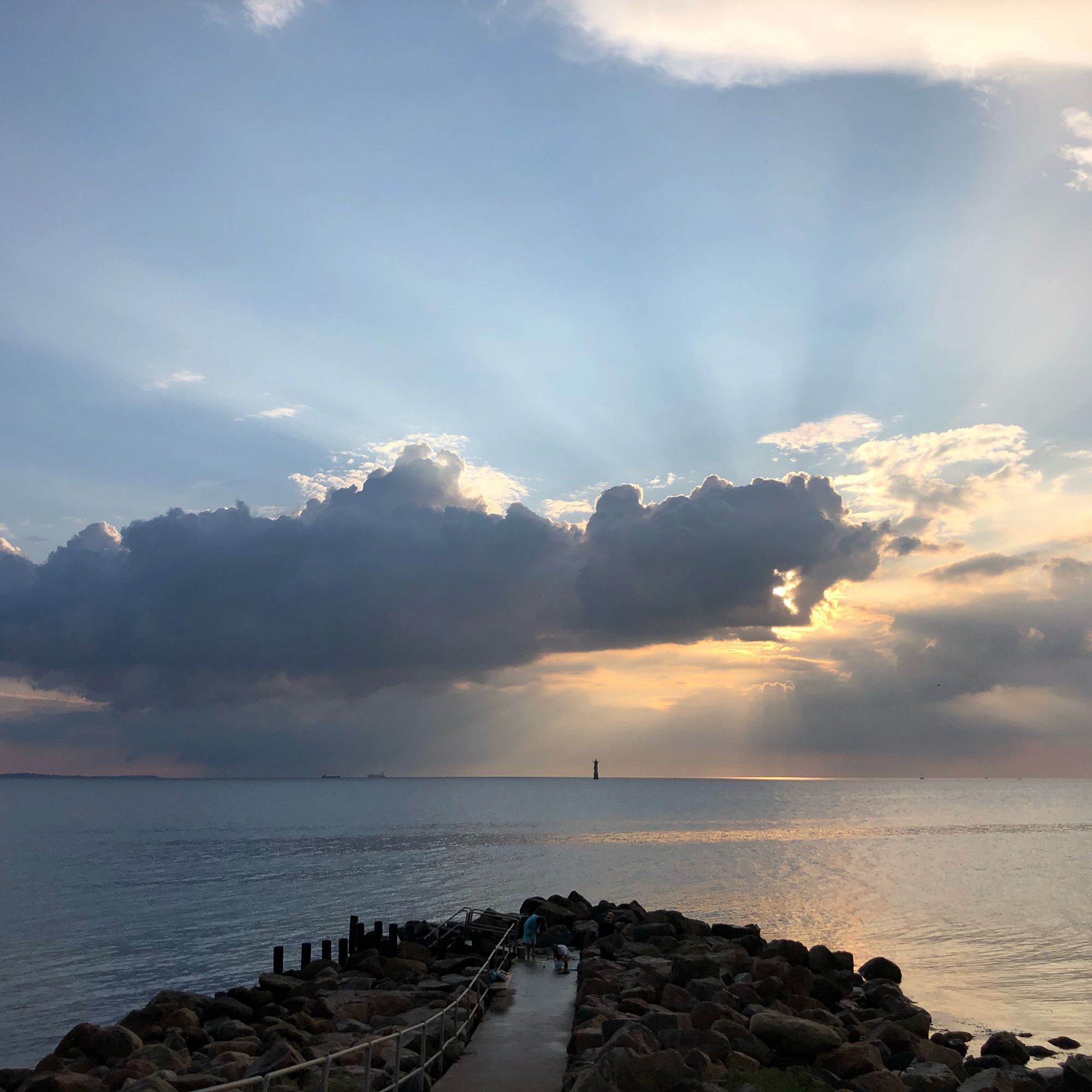 Charmigt gathus nära havet – bild 20 av 22