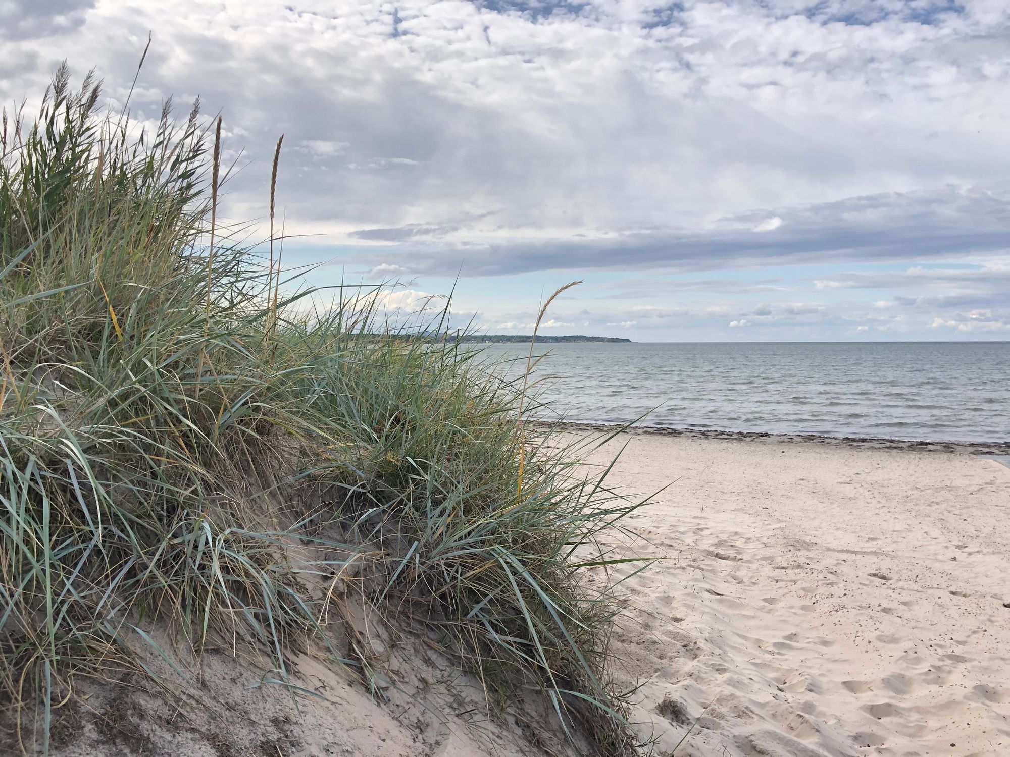 Strandnära Stuga i Farhult – bild 2 av 16