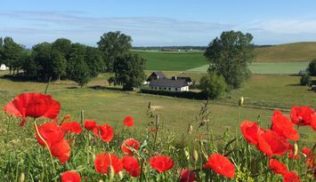 Gård nära Ale Stenar och havet