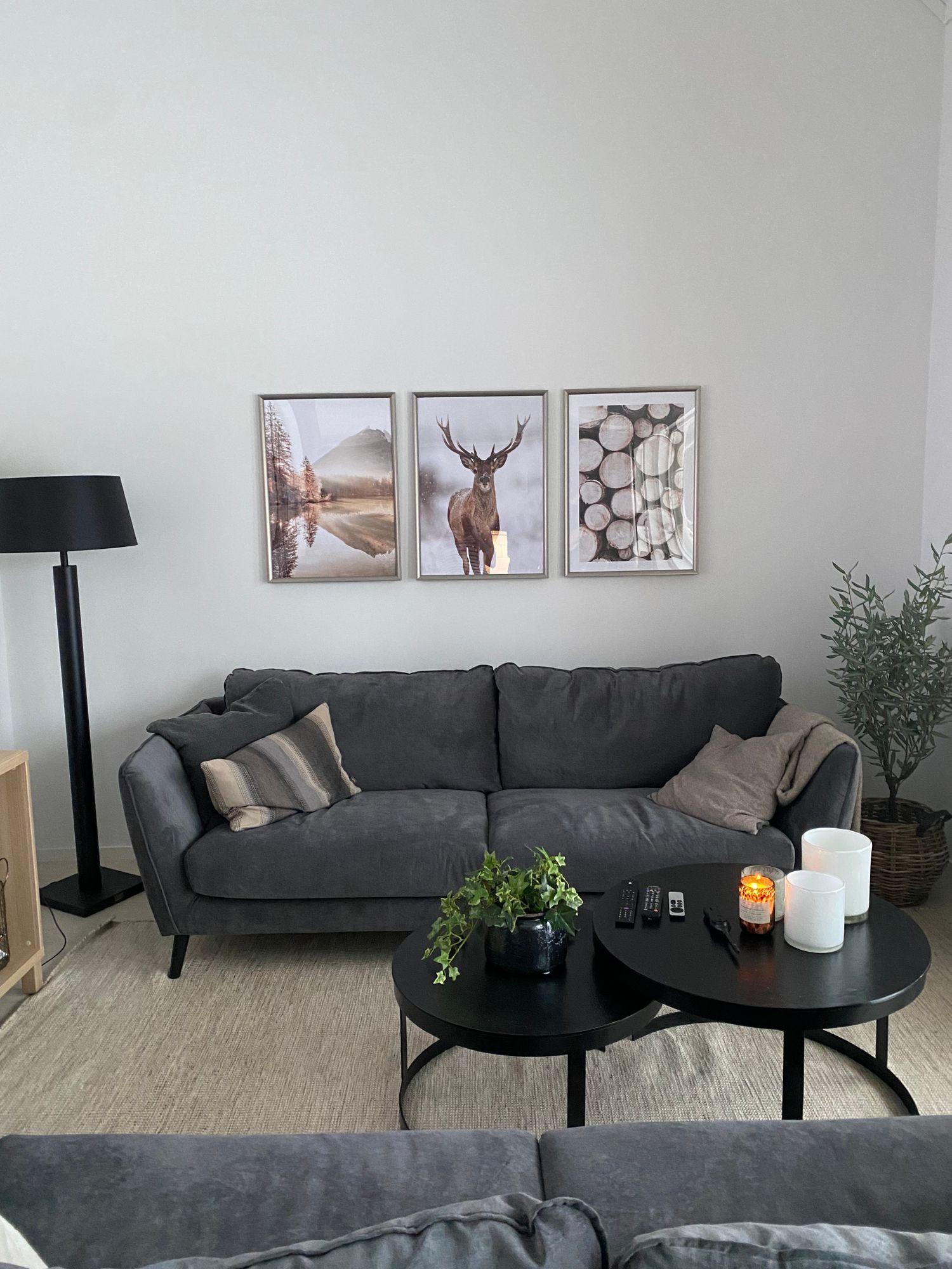 Sälen Lindvallen Vintergatan – bild 3 av 13