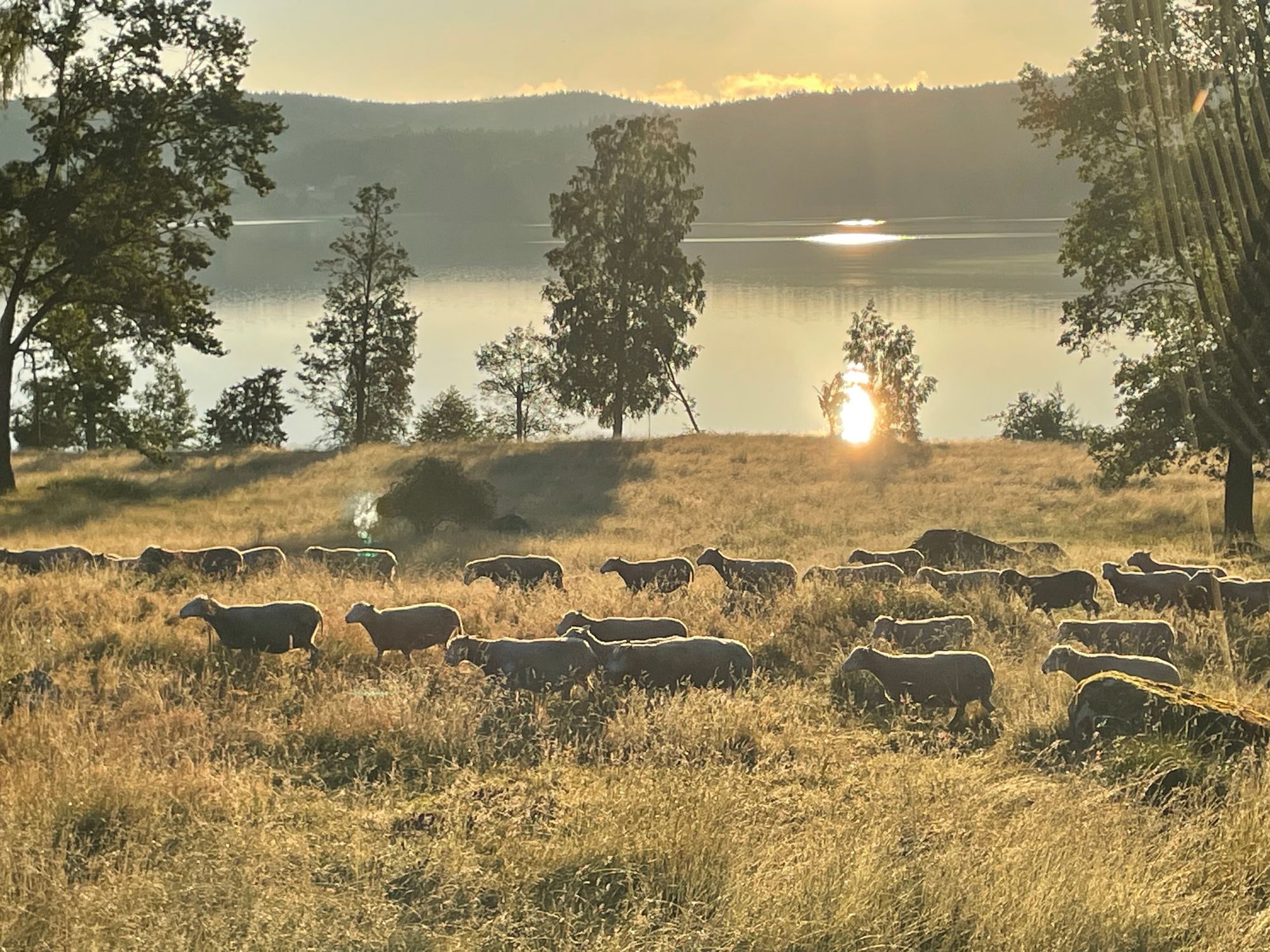 Hus vid sjön Sommen – bild 14 av 16