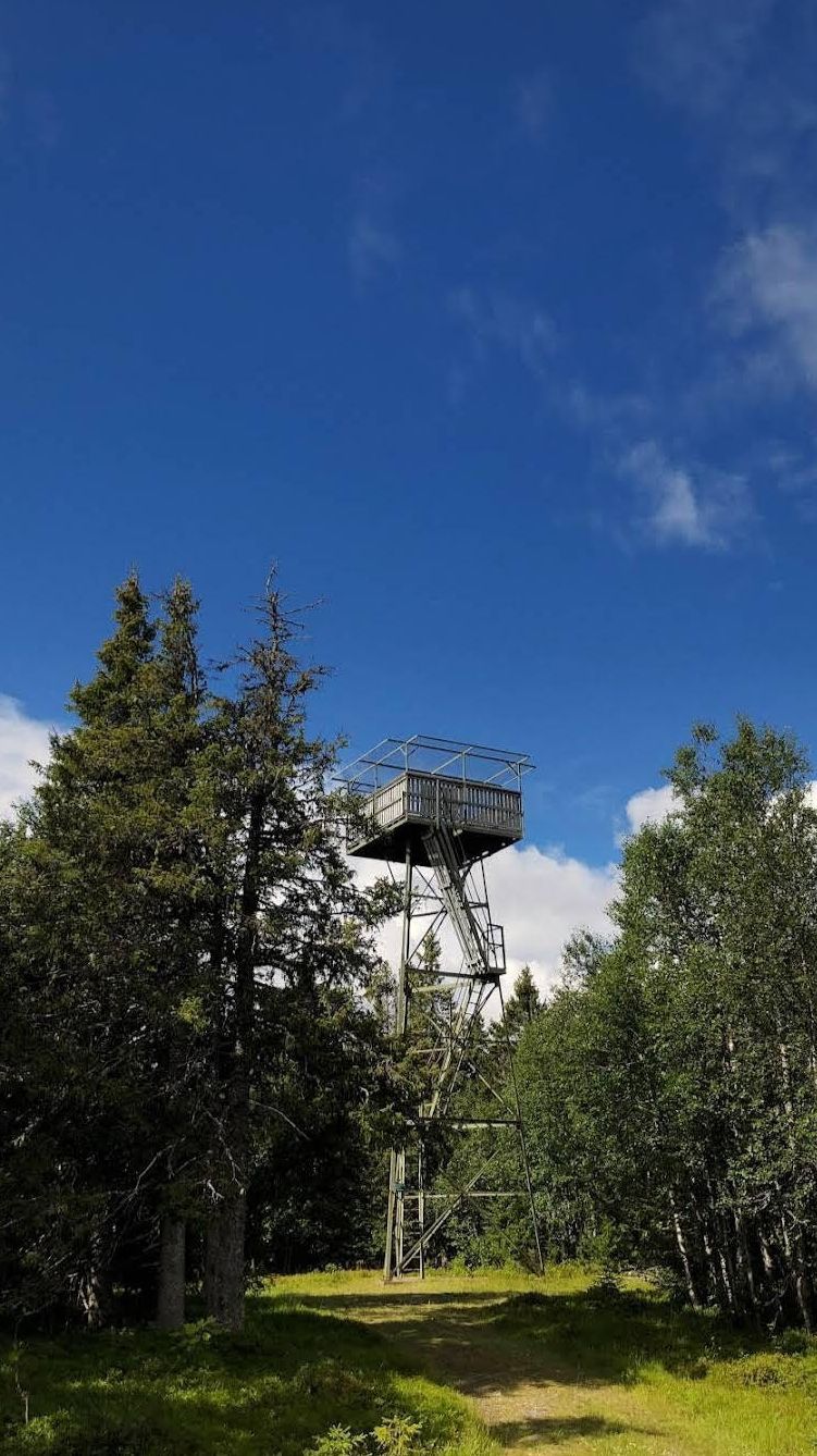 Stuga i Rentjärn Västerbotten – bild 16 av 23