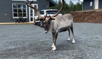 Nyproducerat parhus i toppklass nära Himmelfjäll