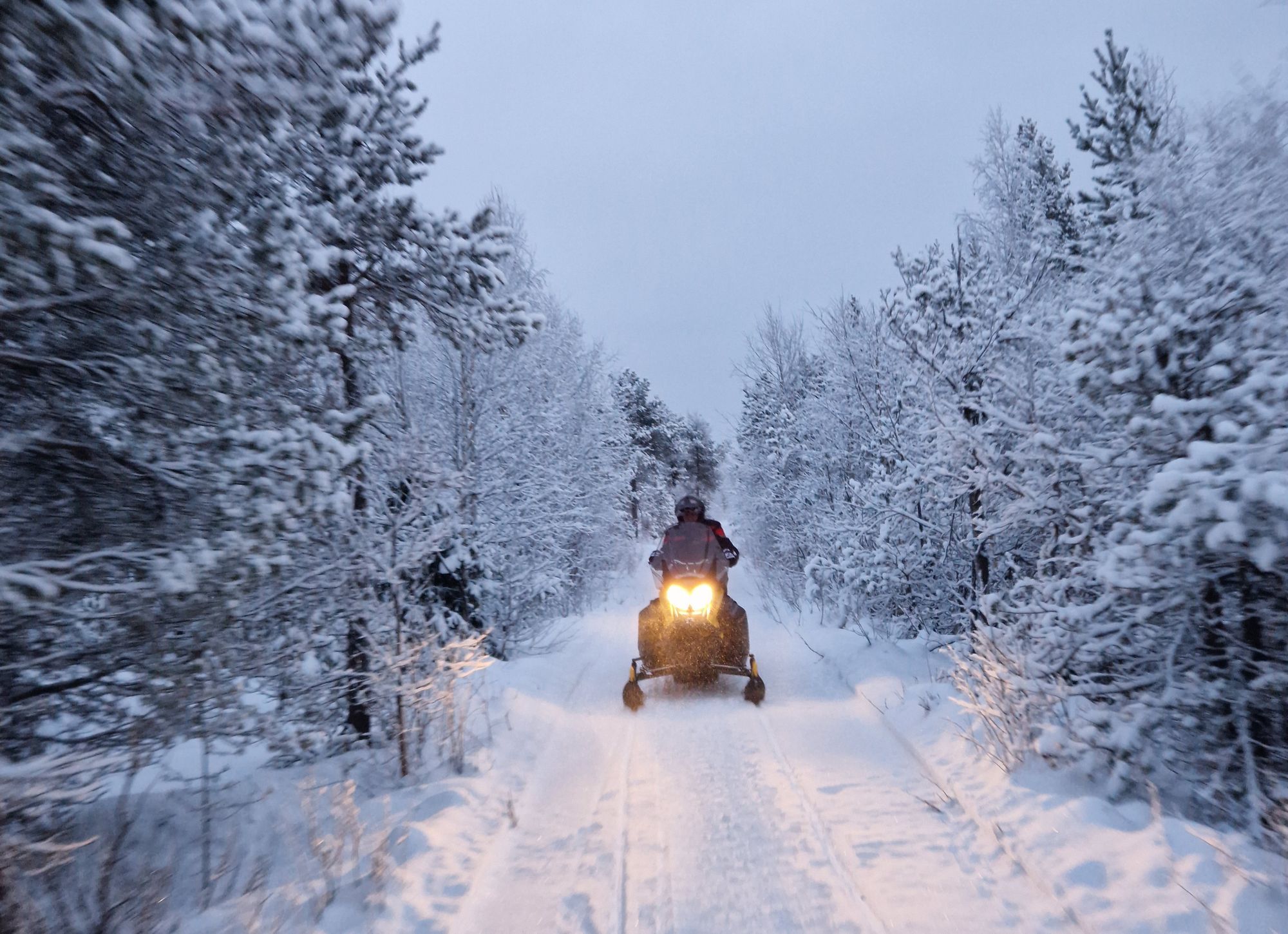 Stuga i Rentjärn Västerbotten – bild 19 av 23