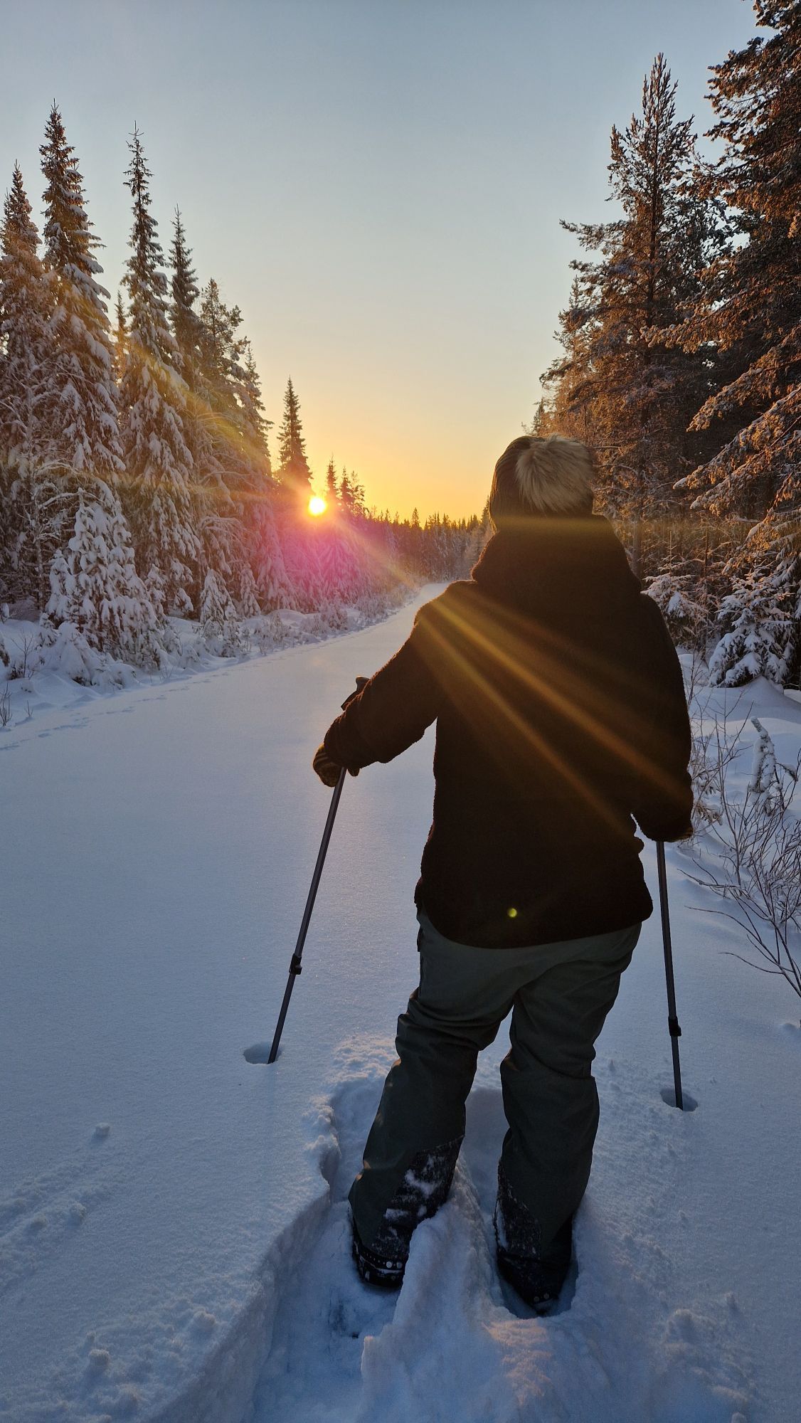 Stuga i Rentjärn Västerbotten – bild 21 av 23
