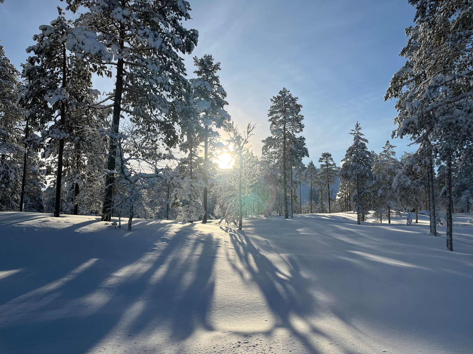 Super mysig stuga Hundfjället/Tandådalen – bild 4 av 14