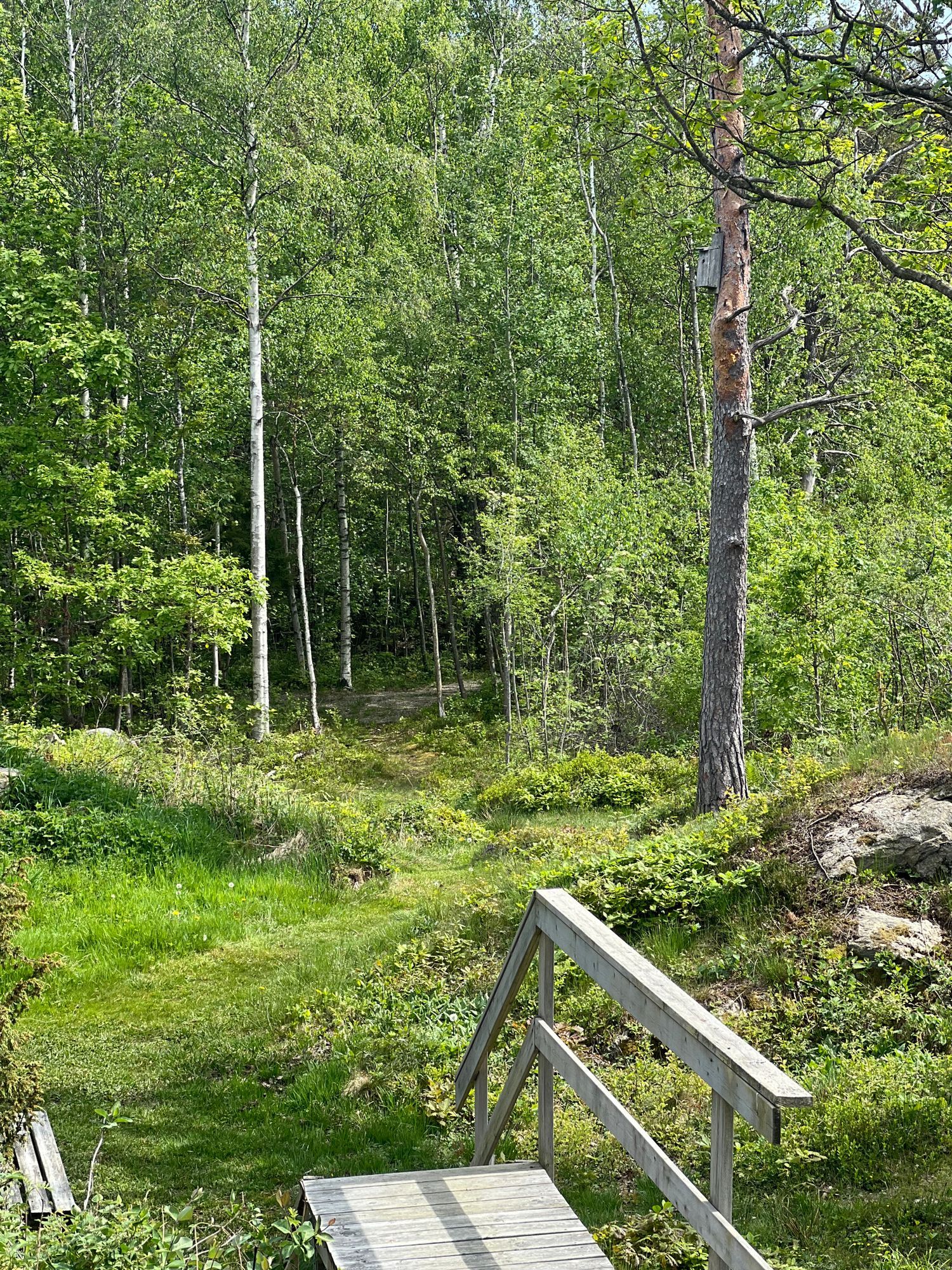 Hus byggt 2017 på 39 kvm med sovloft på Skaftö! – bild 14 av 14