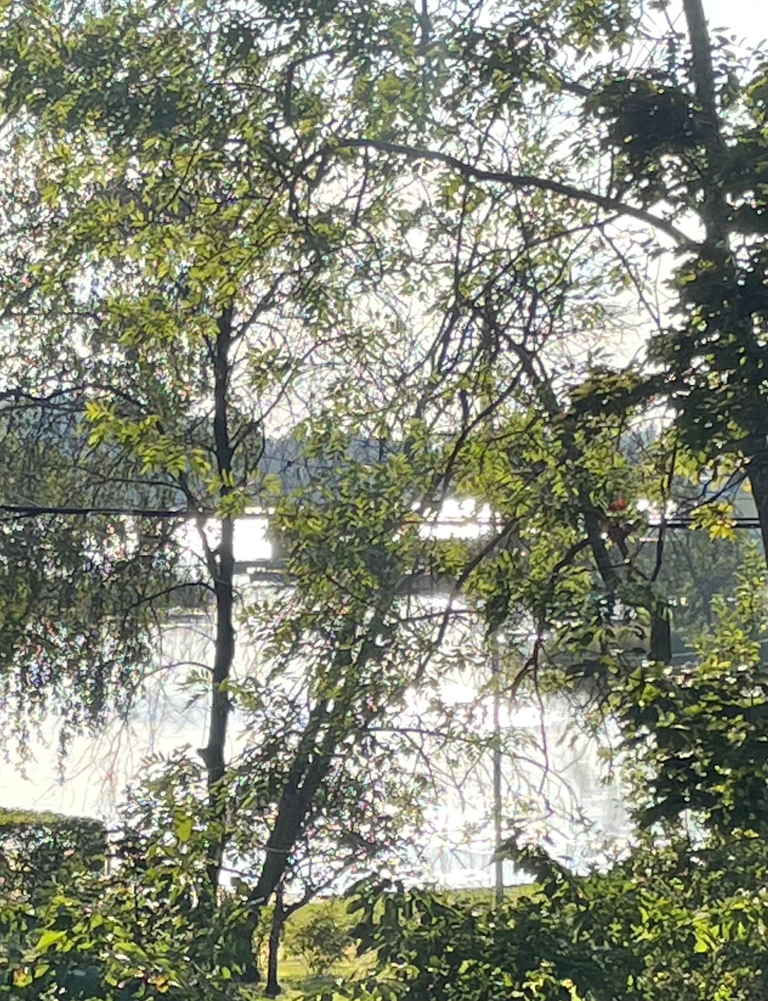Magisk stuga på sjötomt med egen brygga – bild 17 av 18