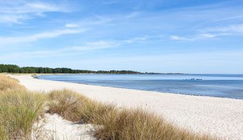 En idyllisk oas med stranden som granne!