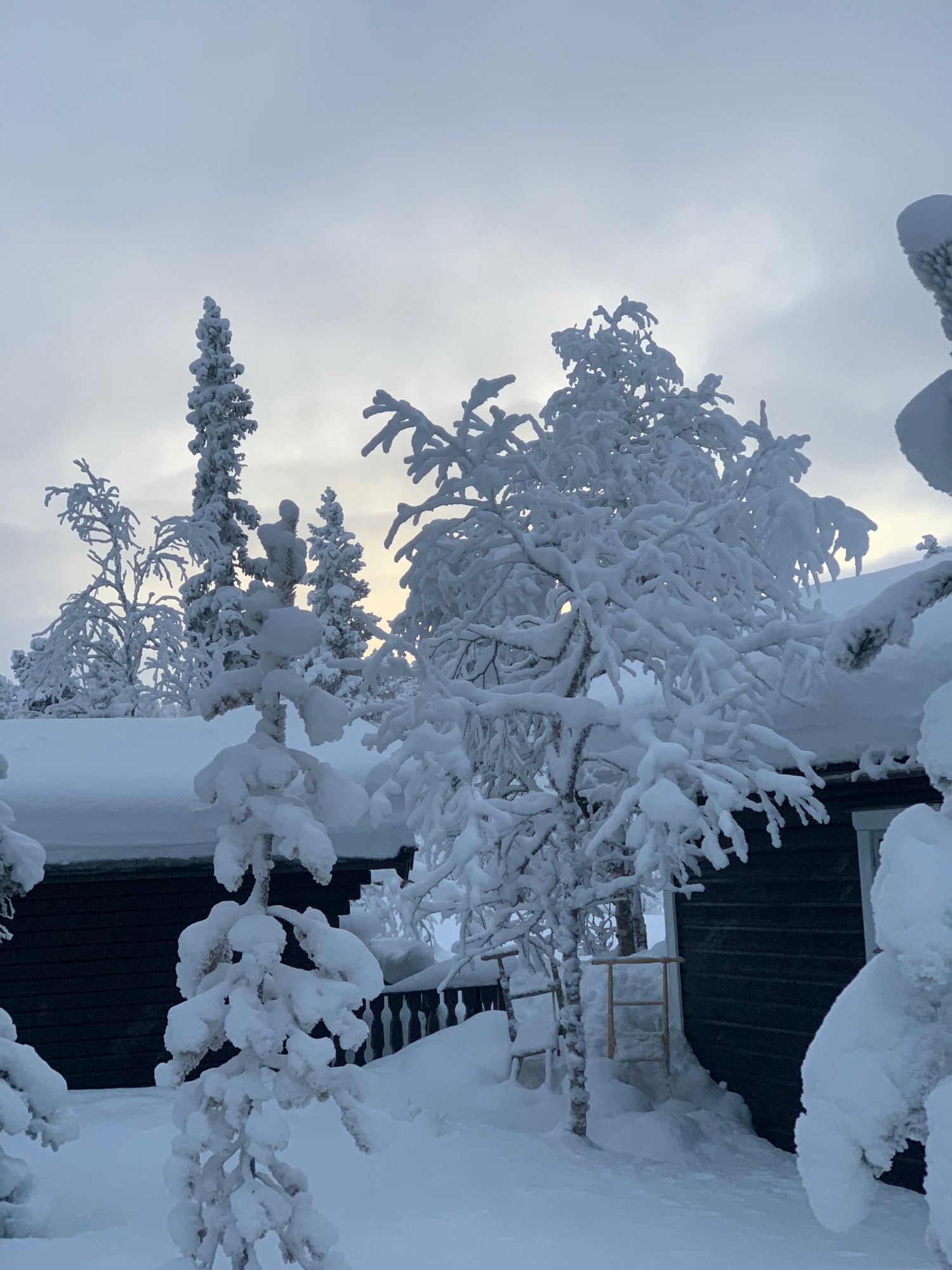 Stuga i Vemdalsskalet med 6 + 2 bäddar #31546 – bild 20 av 24