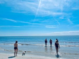 Strandnära sommarstuga i Beddingestrand uthyres