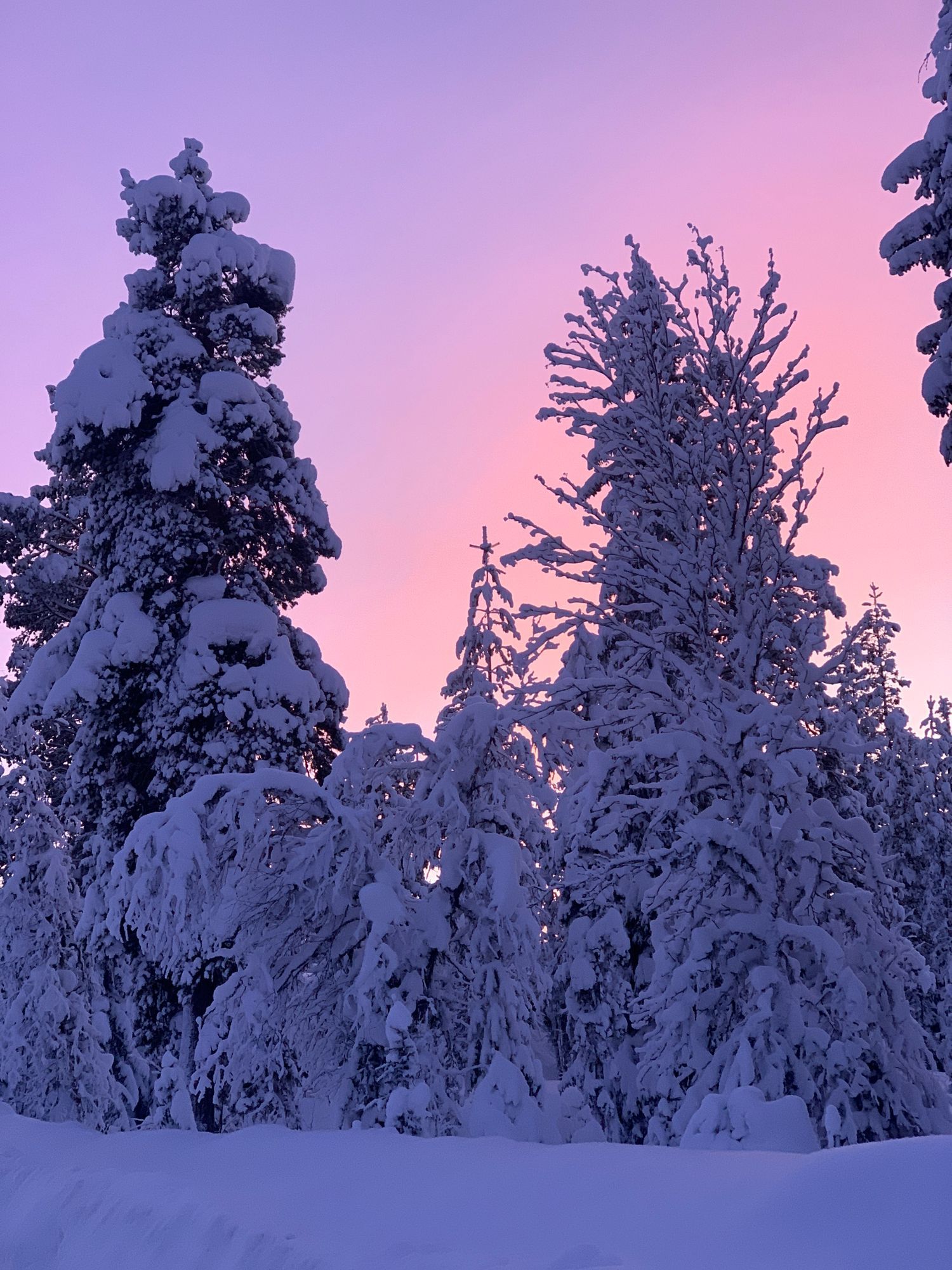 Stuga i Vemdalsskalet med 6 + 2 bäddar #31546 – bild 21 av 24