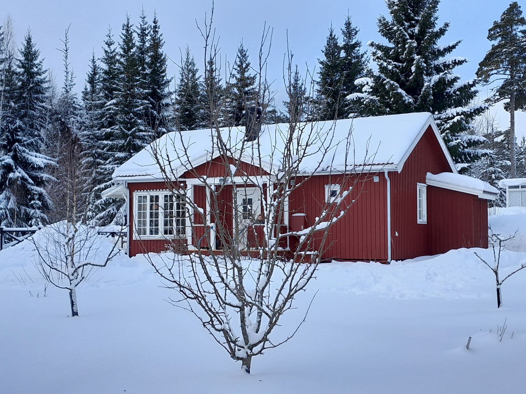 Mysig stuga vid Orsasjön, nära Orsa Grönklitt – bild 2 av 14