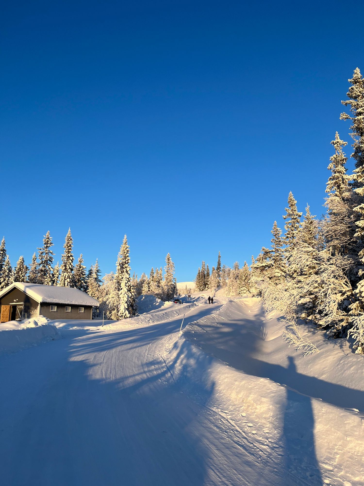 Toppläge i Edsåsdalen! – bild 22 av 23