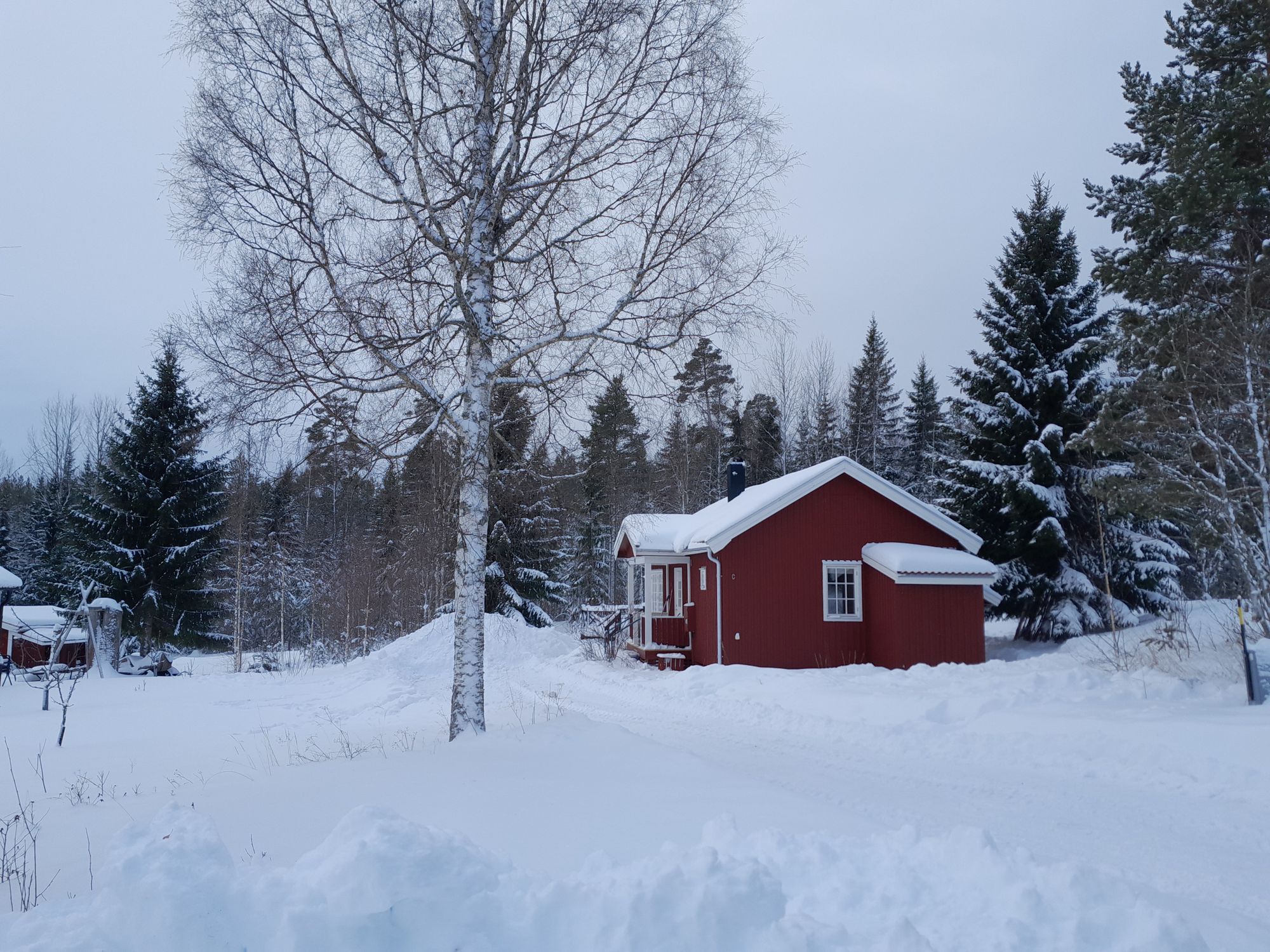 Mysig stuga vid Orsasjön, nära Orsa Grönklitt – bild 4 av 14
