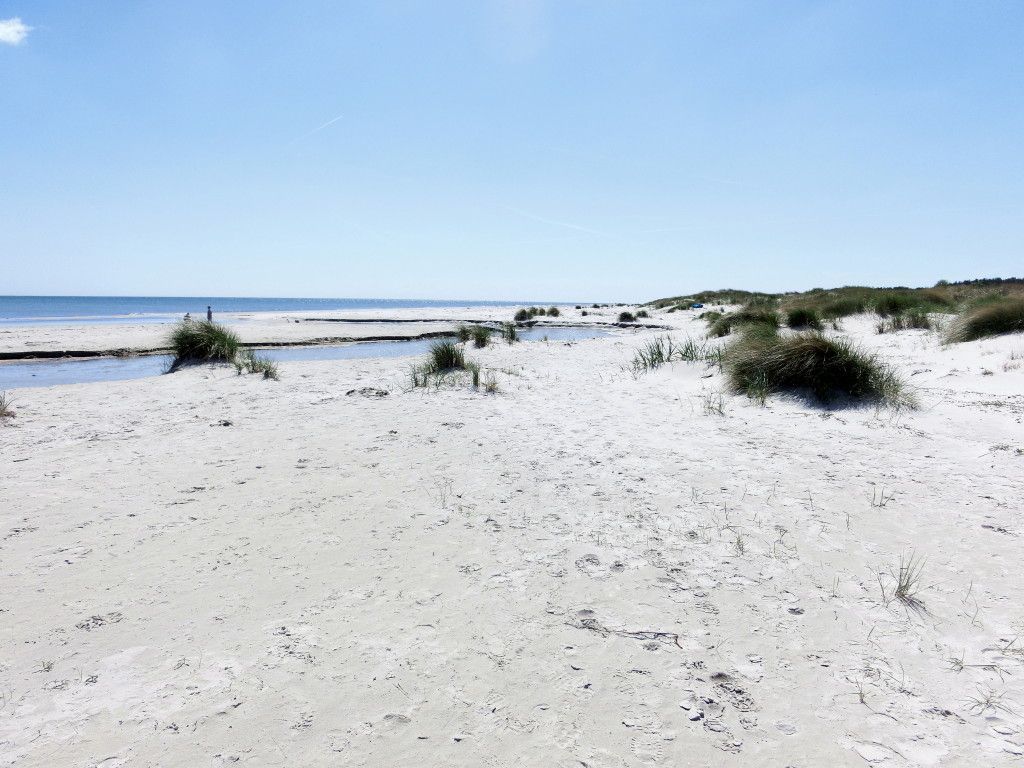 Havsnära lägenhet Österlen, Sandby, Mälarhusen – bild 20 av 24