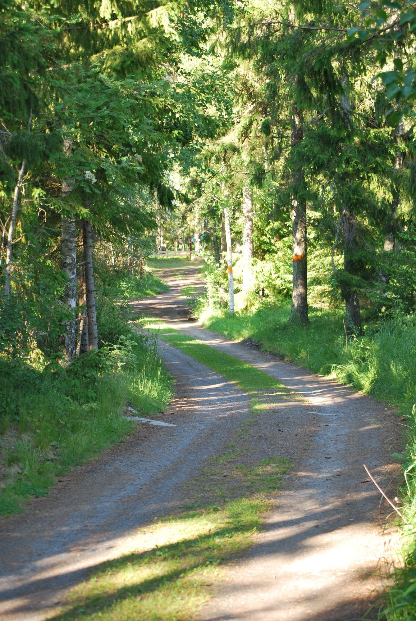 Havsnära stuga på Väddö – bild 11 av 12