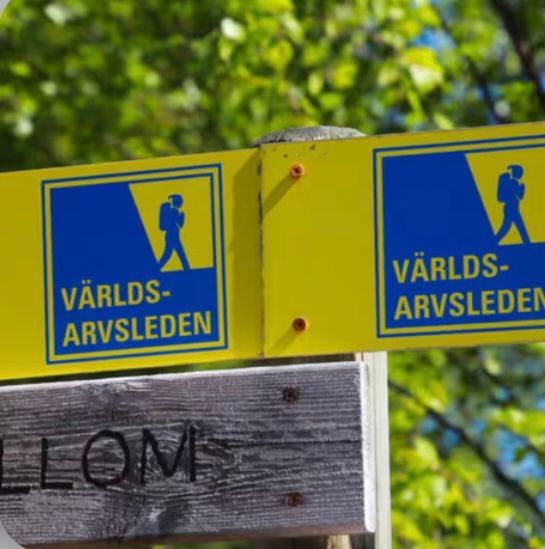 Hundvänligt familjeparadis i Norrfällsviken – bild 19 av 24
