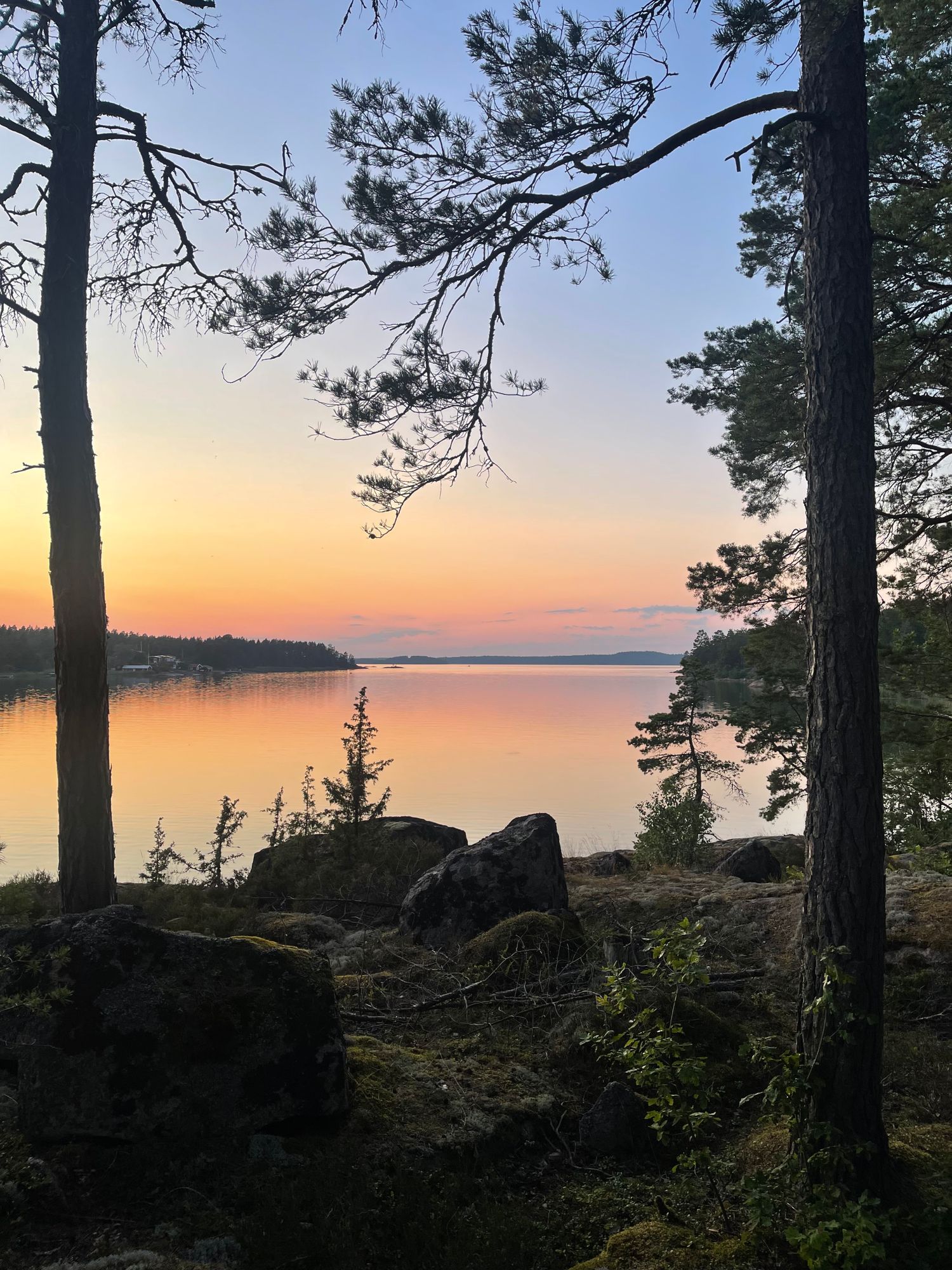 Stuga nära skog och hav – bild 7 av 17