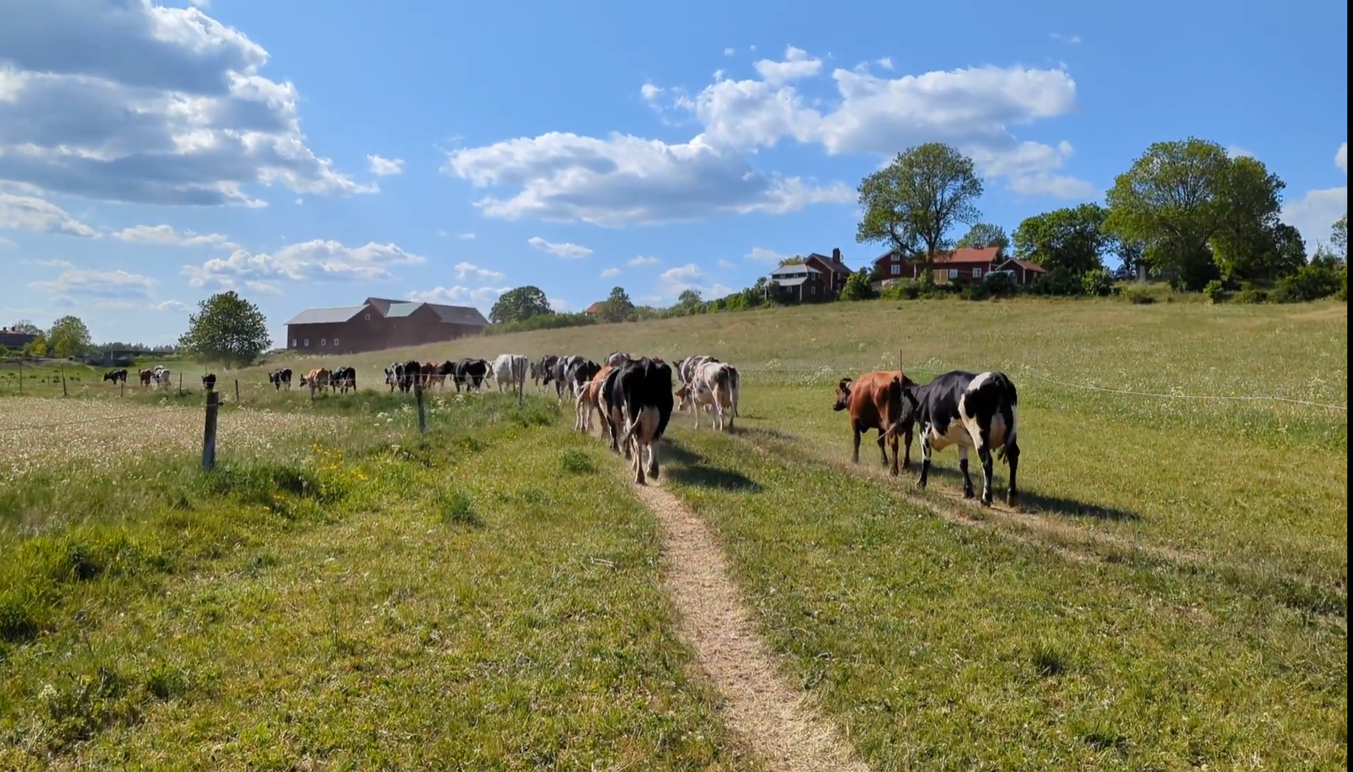 Mysigt lantligt 1800-talshus – bild 10 av 24