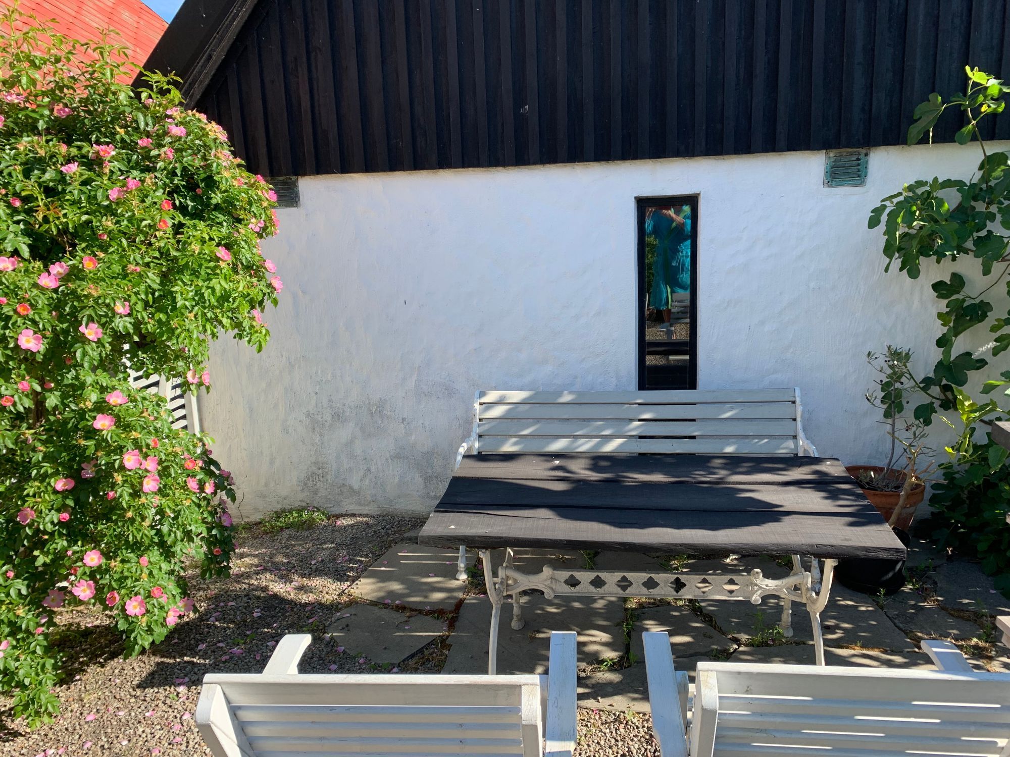 Kåseberga, Österlen - Skånehus. – bild 12 av 24