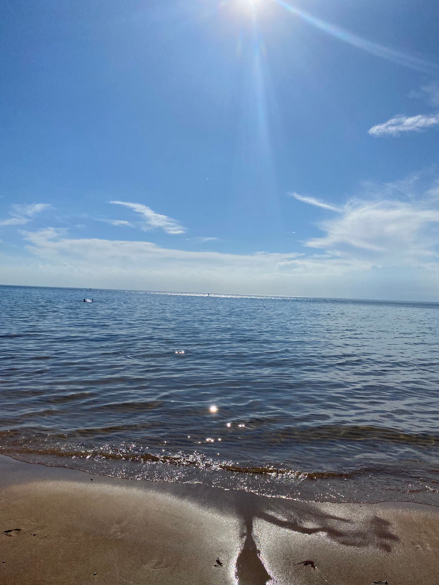 Sommarhus vid havet i idylliska Vilshärad – bild 20 av 24
